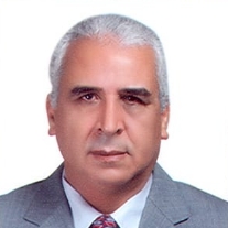 Prof. Mohamed M. Sayed-Ahmed, PhD